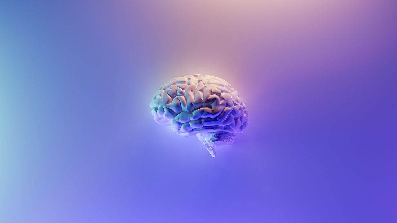 In Pursuit of an Alzheimer’s Vaccine