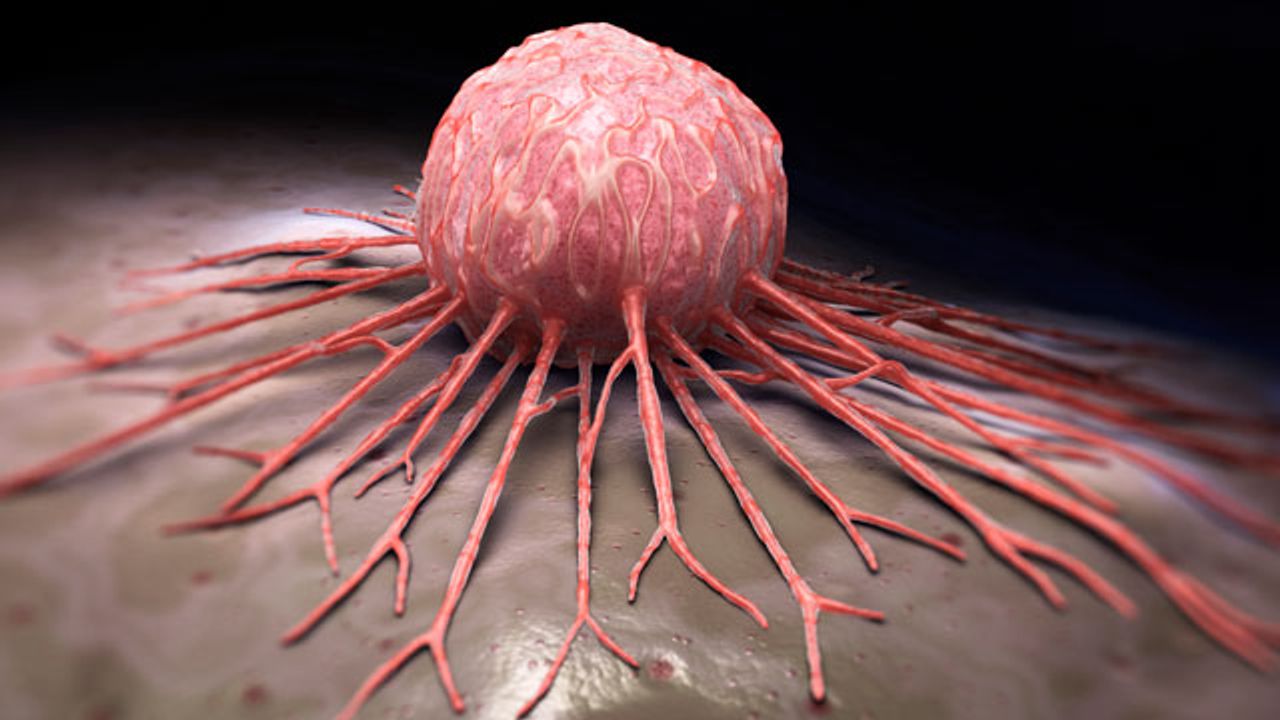 Penetrating the Shield of Scar-Like Cells That Protects Pancreatic Tumors