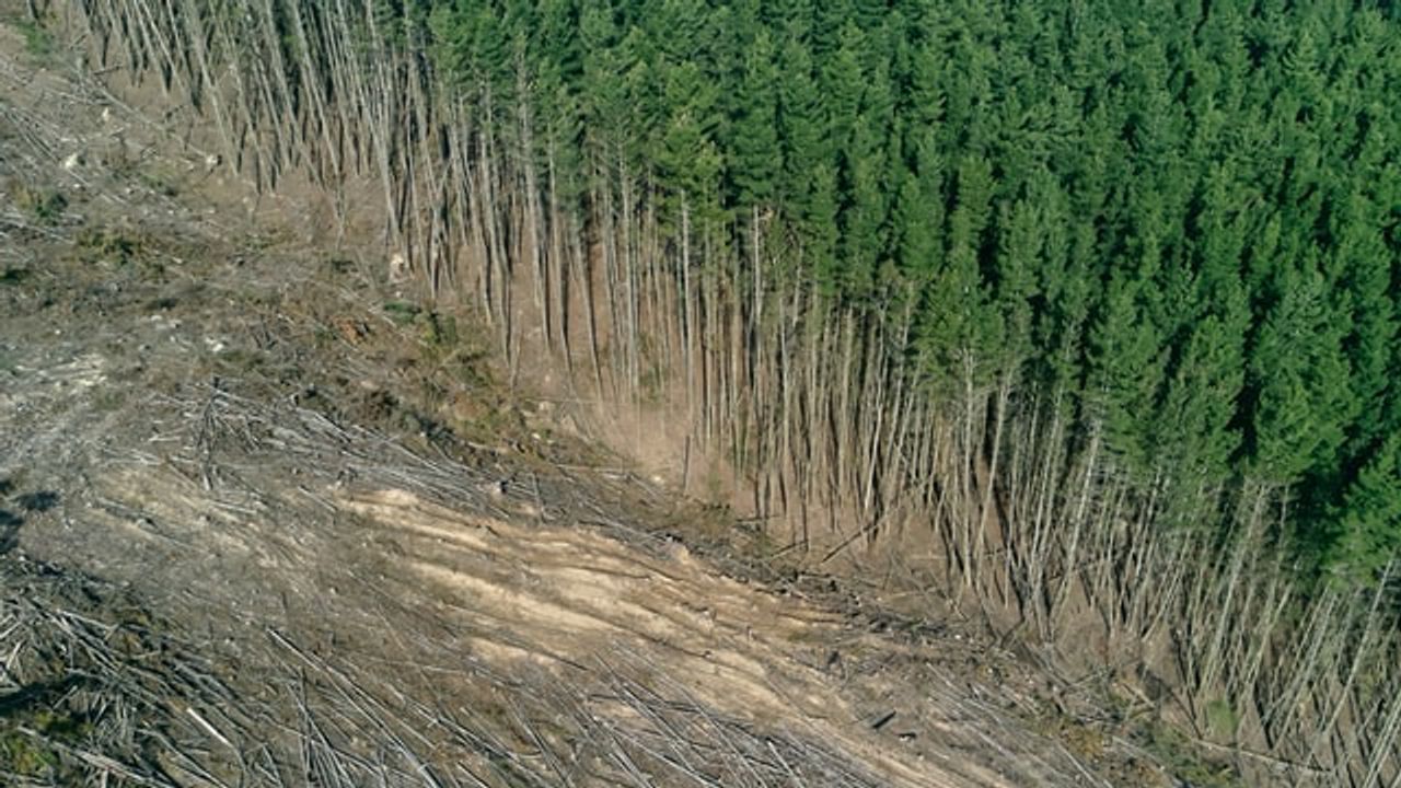 Rising Emissions Tied to International Agricultural Trade