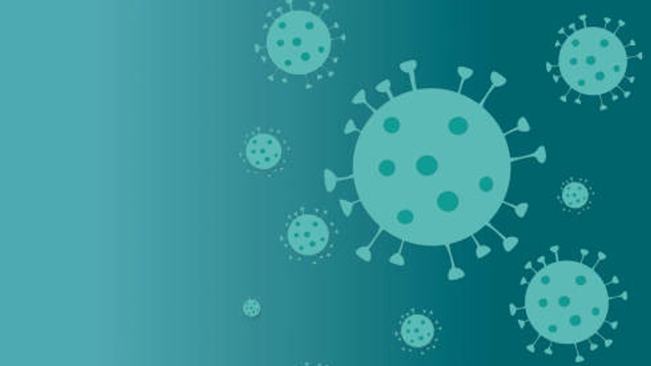 Advanced Reagents for SARS-CoV-2 Neutralizing Antibody Detection