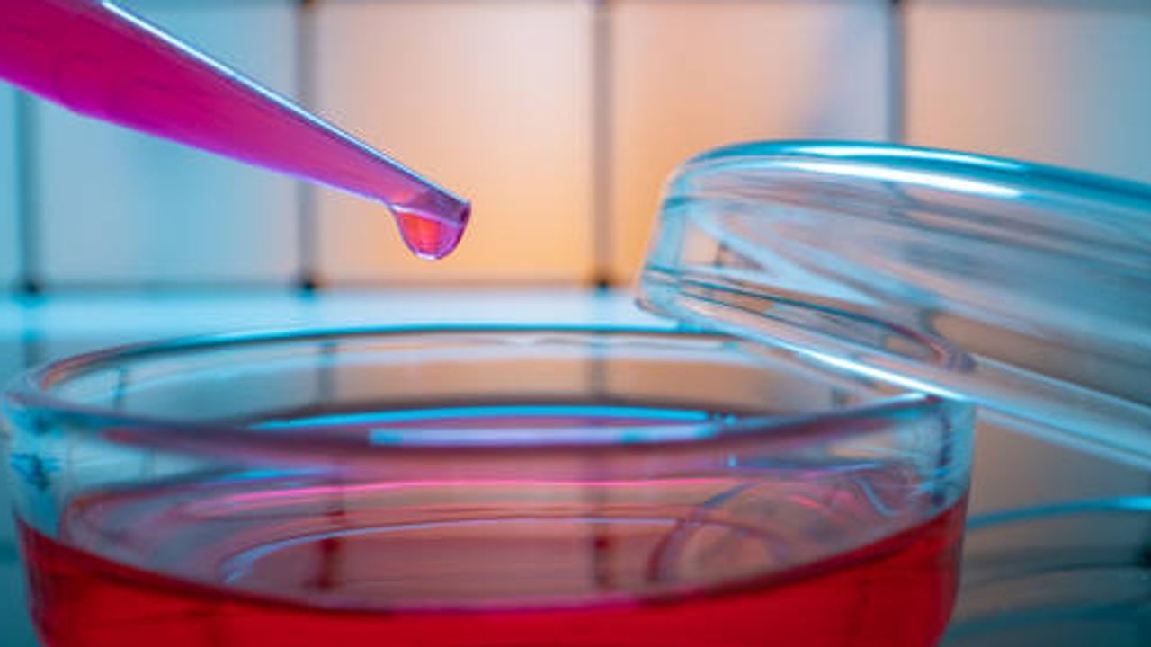 Cell Culture: The Opportunities and the Challenges