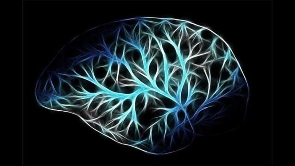 Joubert Syndrome Linked to Hippocampal Changes, Suggests Mouse Study content piece image