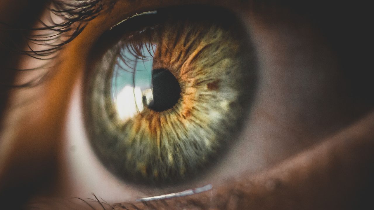 Seeing Clearly Again: Using the Tear Lipidome To Detect Dry Eye After Laser Surgery