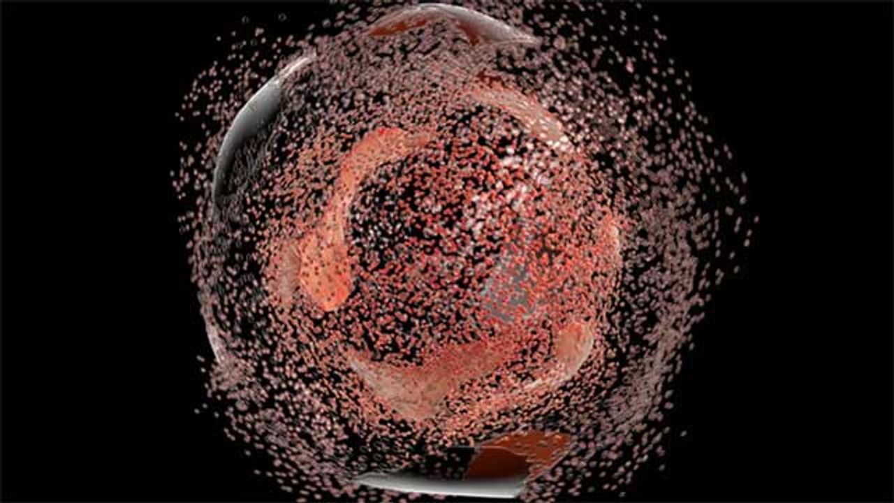 Trigger for Skin Cell Death Discovered