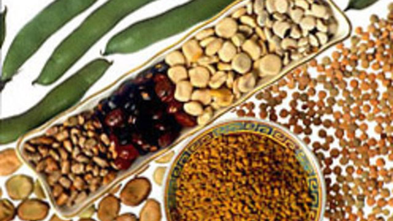 High Fiber Diet Associated With Reduced Antibiotic Resistance in Gut Microbes