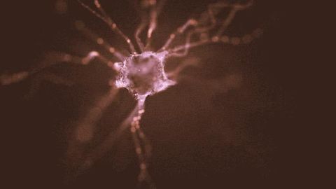 Engineered Neurons Could Help Treat Parkinson's