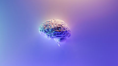 How Repeated Trauma Affects the Adolescent Brain's "Triple Network" How Repeated Trauma Affects the Adolescent Brain's "Triple Network"