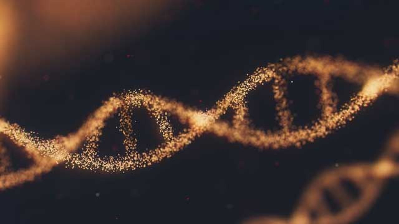 New CRISPR-Cas9 Carrier Makes Genome Editing More Efficient