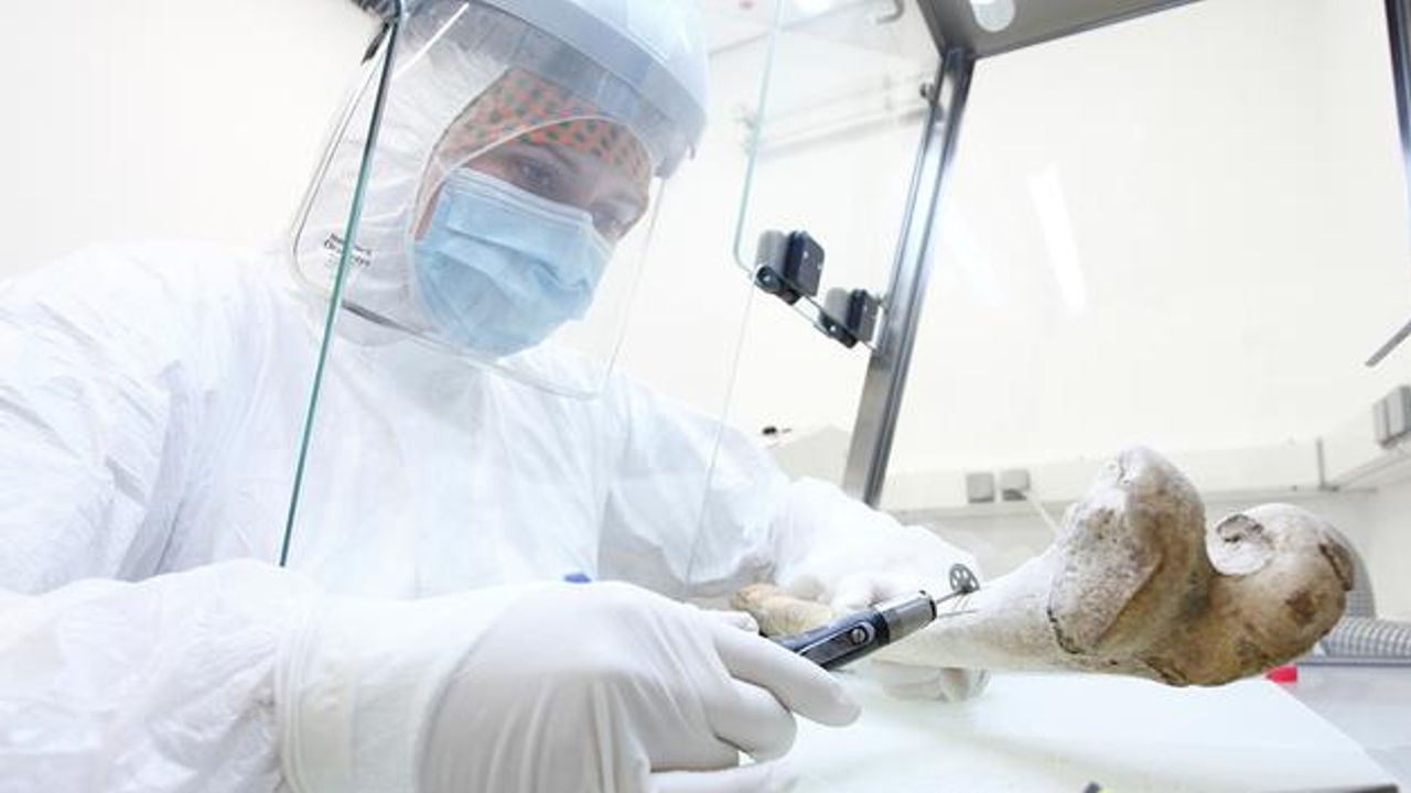Study Clarifies Genetic Origins of the World’s First Farmers