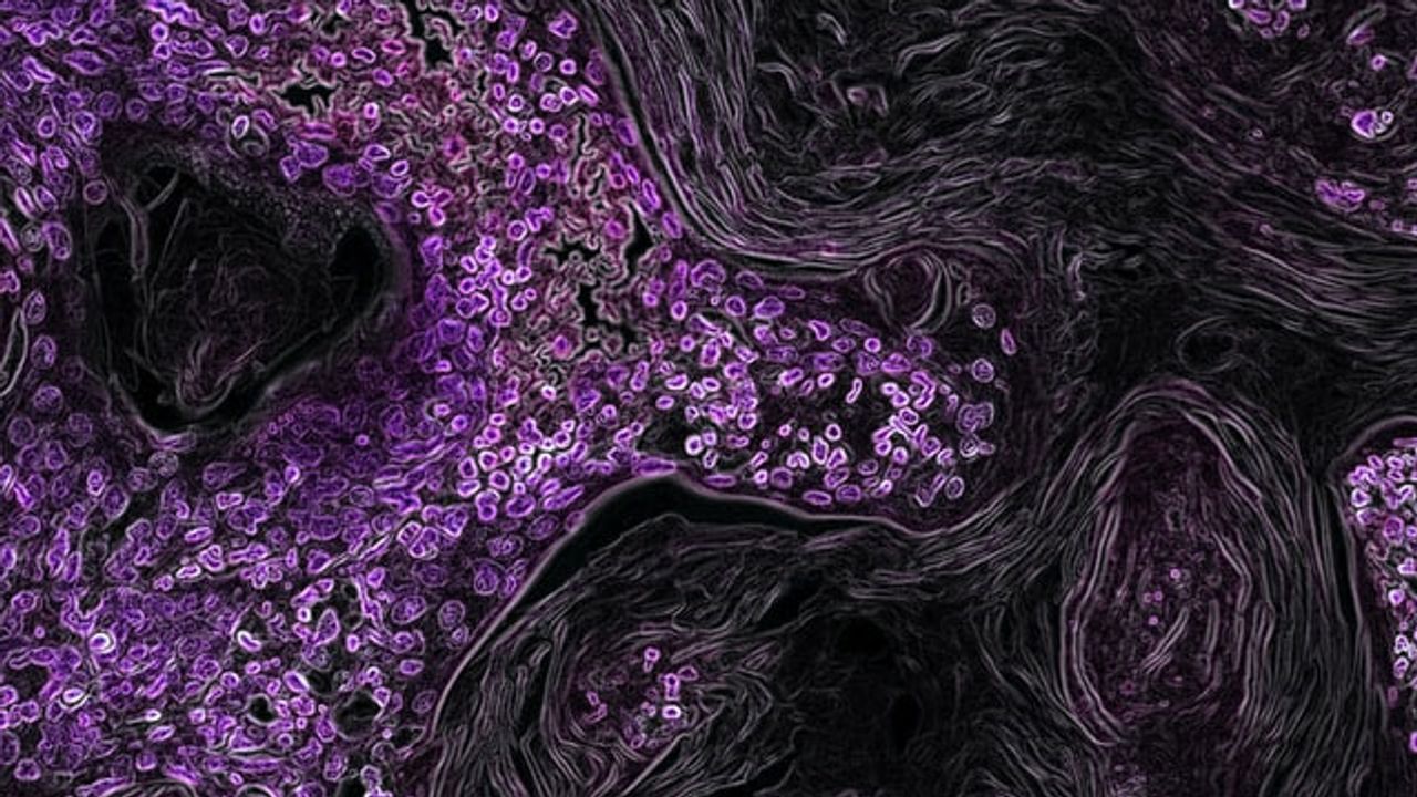 New Approach to Large-Scale Single-Cell Profiling Developed