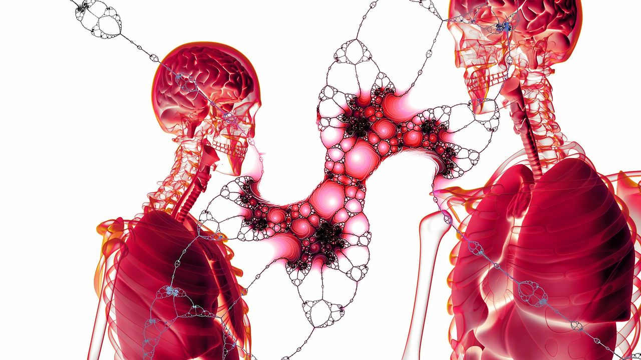 Cardiac Progenitor Cells Generate Healthy Tissue After a Heart Attack