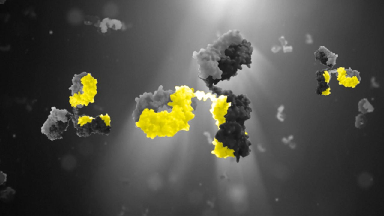 High-Throughput Protein Quantitation for Process Optimization
