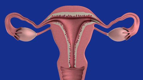 Nanosensor Platform Could Advance Detection of Ovarian Cancer
