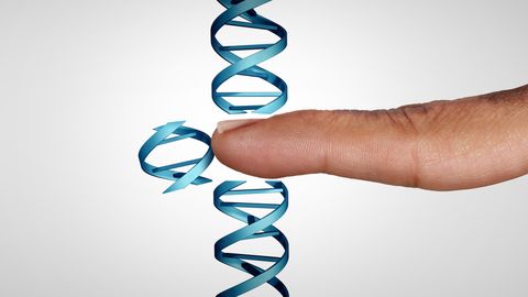 Gene Editing Approach Can Change Social Behavior of Animals Gene Editing Approach Can Change Social Behavior of Animals