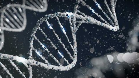 Vaccinia Virus Uses a Makeshift Tool To Repair Its DNA Vaccinia Virus Uses a Makeshift Tool To Repair Its DNA