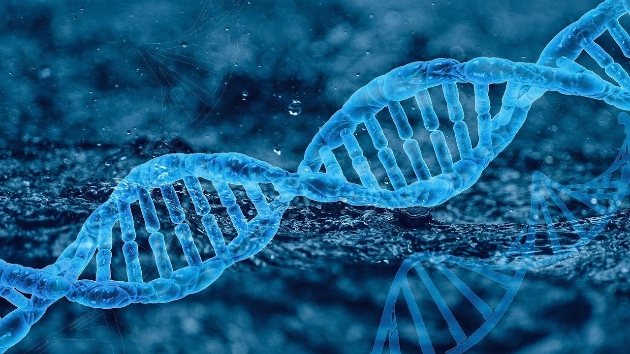 PerkinElmer Expands Genomic Testing Services With Ultrarapid Whole Genome Sequencing