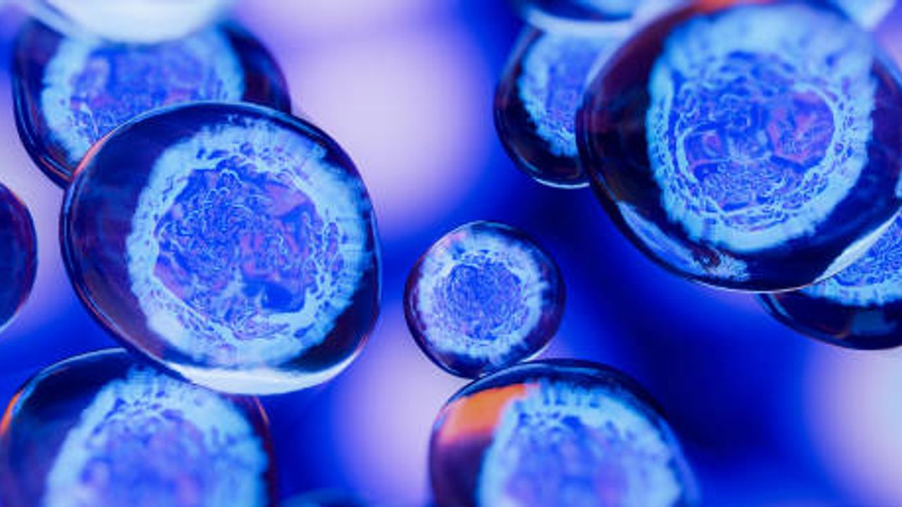 Scaling Non-Viral Cell Therapy Approaches for Solid Tumor Treatments