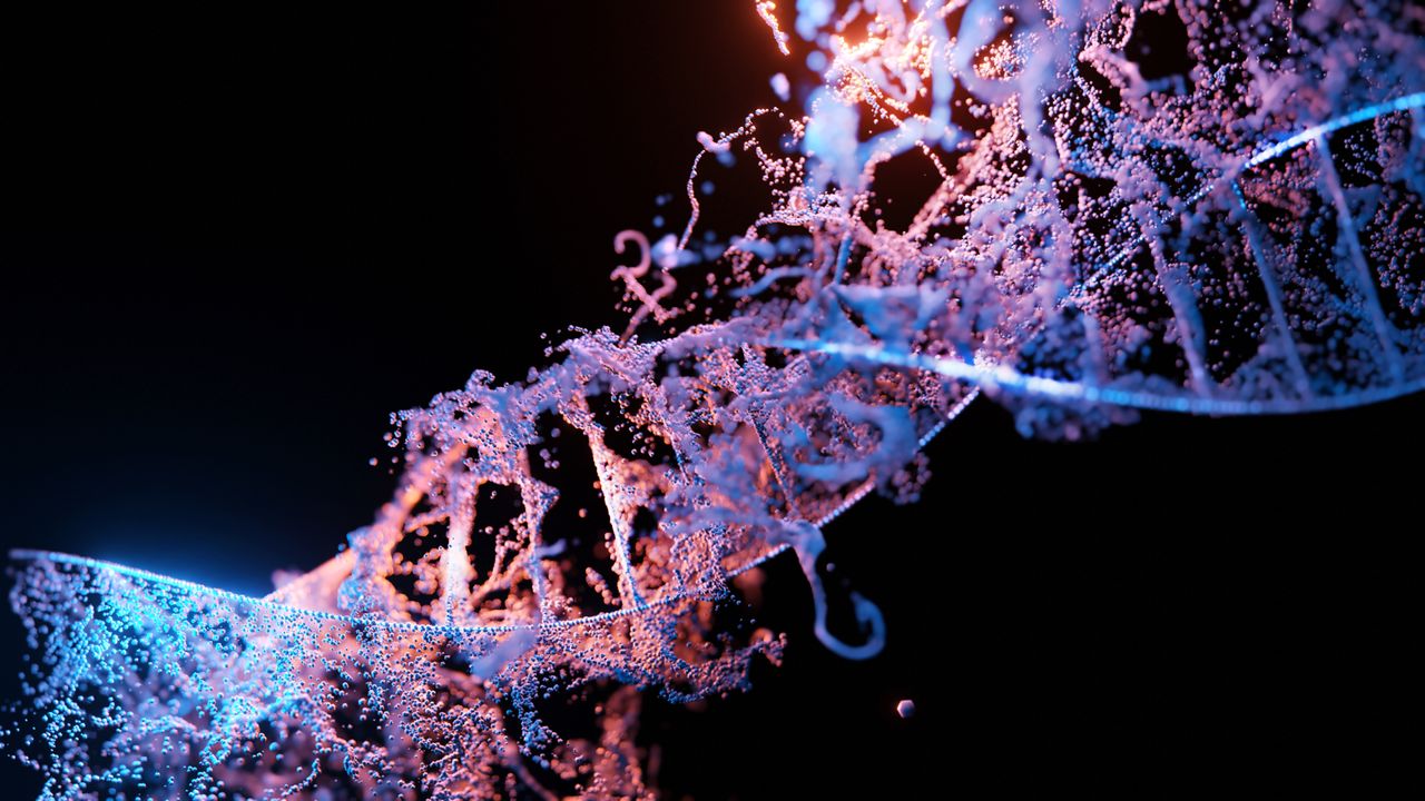 New Dimension Added to Our Understanding of Genetic Mutations and Biological Evolution