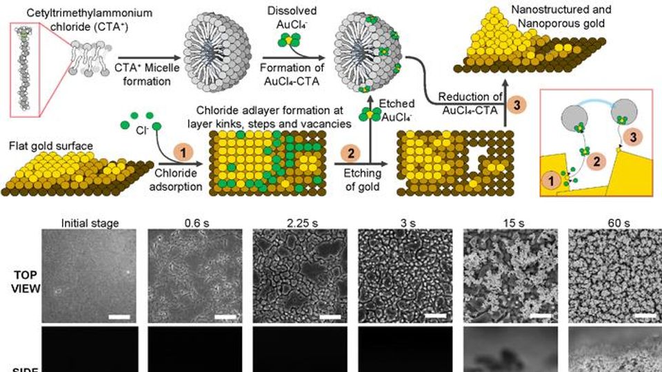 Electrochemical Biosensor Detects Prostate Cancer content piece image