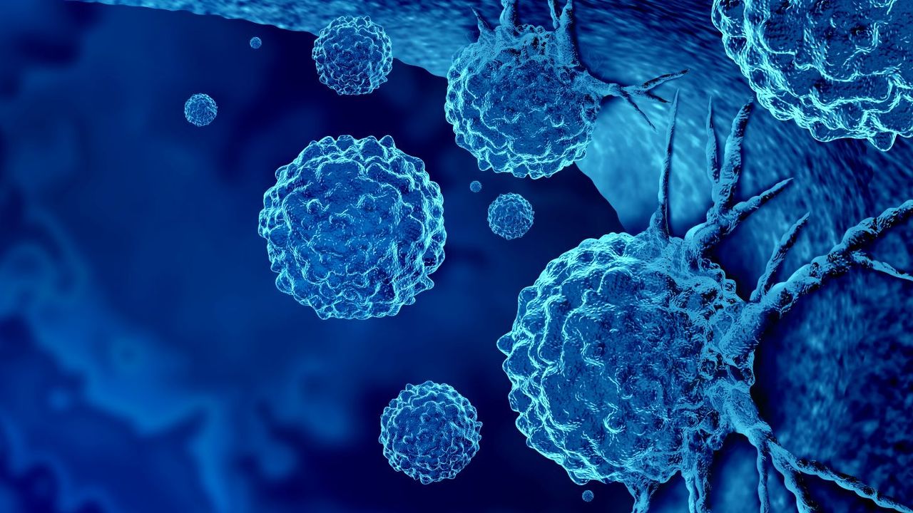 Aptamers for Cancer Diagnosis and Therapy