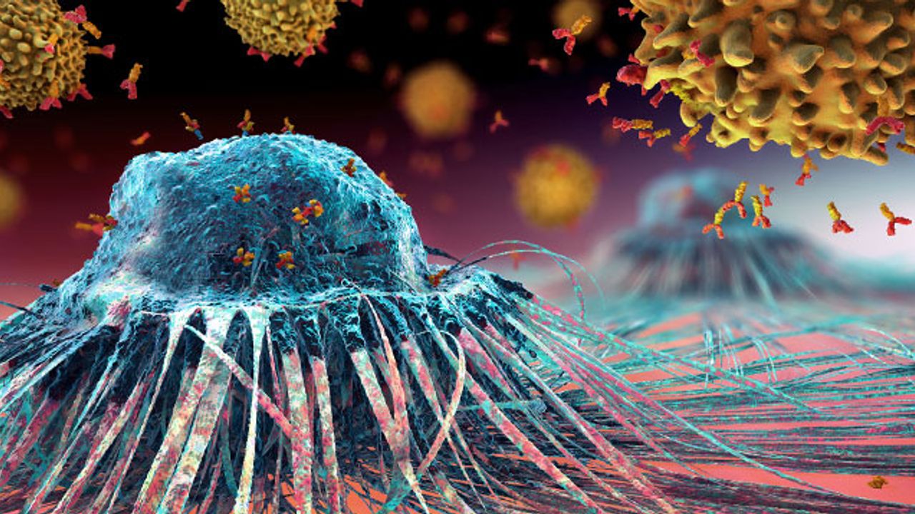 Cancer Research Horizons: Driving Innovation and Strengthening Academia–Industry Collaboration