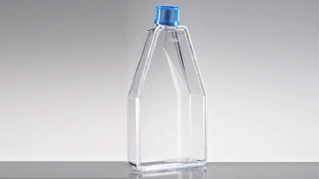 Falcon® 150cm² Rectangular Canted Neck Cell Culture Flask With Vented Cap
