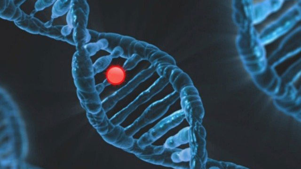 Theoretical Framework Designed To Help Identify Cancers Caused by Multiple Mutations