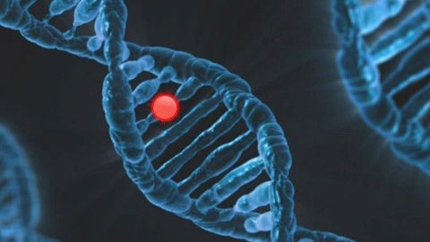 Theoretical Framework Designed To Help Identify Cancers Caused by Multiple Mutations Theoretical Framework Designed To Help Identify Cancers Caused by Multiple Mutations