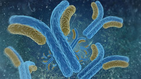 Analytical Tool Designed To Accelerate Production of Biologics