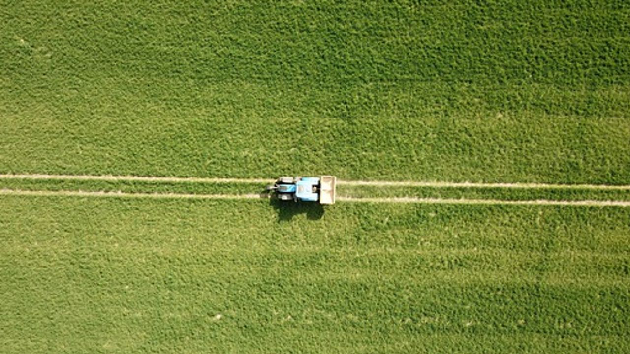 Nitrogen Fertilizer Policies Could Protect Farmers and the Environment