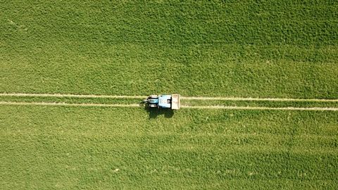 Nitrogen Fertilizer Policies Could Protect Farmers and the Environment