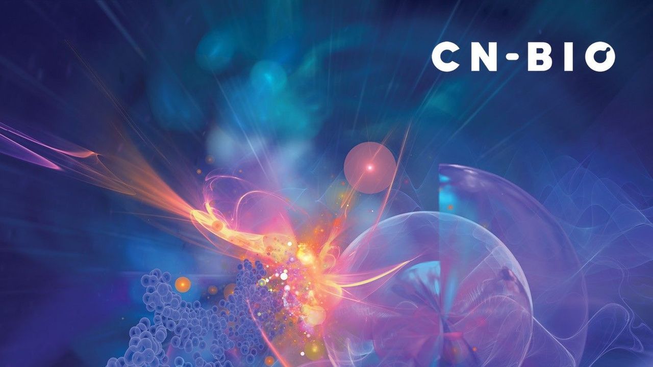 Every Breath You Take: Predicting Inhaled Drug ADME Using Lung-on-a-Chip