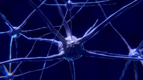 Epilepsy Drug Halts Growth of Tumors by Suppressing Neurons in Mouse Model Epilepsy Drug Halts Growth of Tumors by Suppressing Neurons in Mouse Model