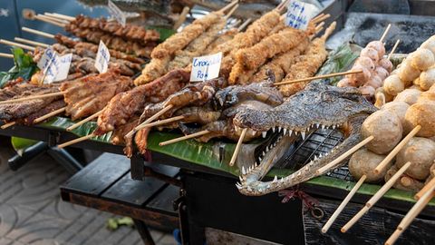 Consuming Crocodile Meat Can Be Dangerous for People With Fish Allergies Consuming Crocodile Meat Can Be Dangerous for People With Fish Allergies
