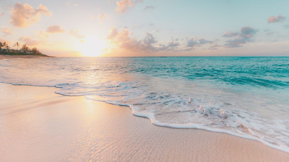 Seascapes Shaped the Genetics of Ancient Populations content piece image