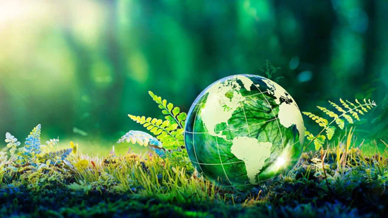 How Researchers Are Bringing Sustainability to Scientific Discovery