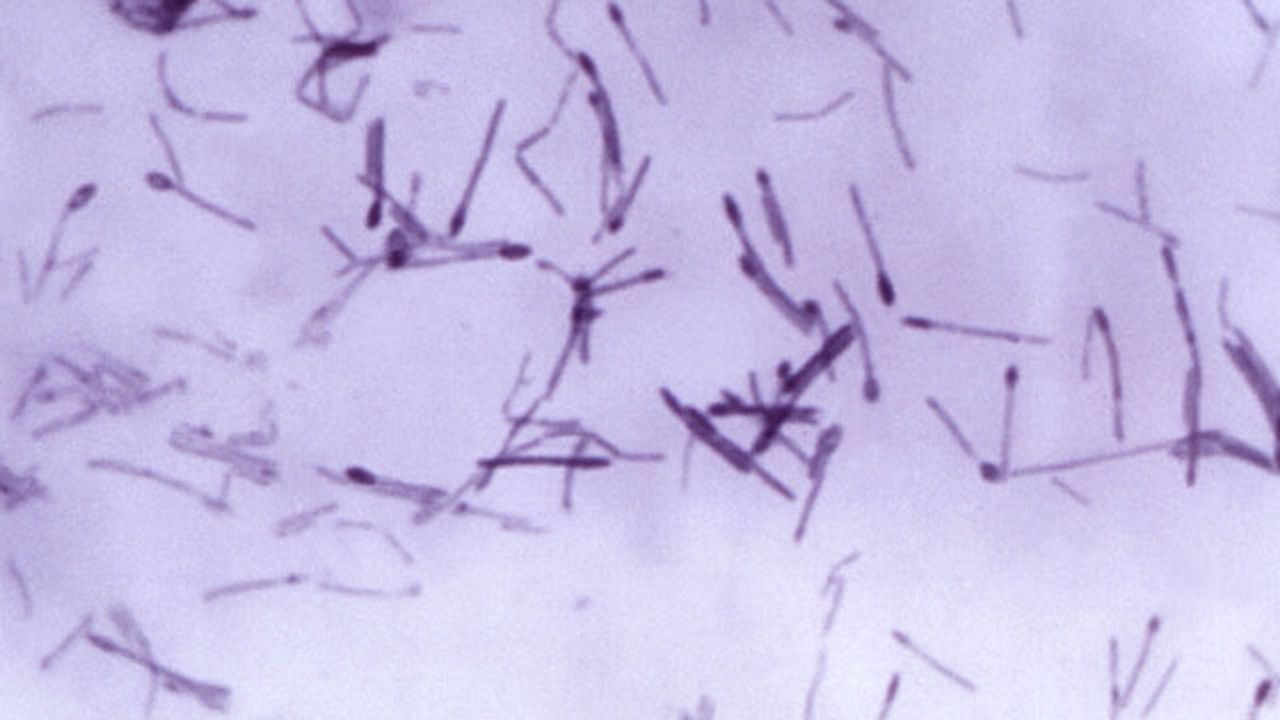 Targeting Toxin Release To Treat Lethal Bacterial Infection