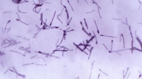 Targeting Toxin Release To Treat Lethal Bacterial Infection