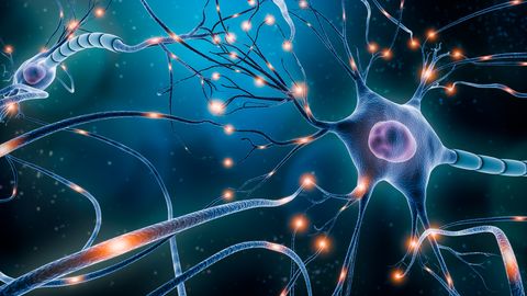 ALS Compound Could Be More Effective Than Existing Drugs ALS Compound Could Be More Effective Than Existing Drugs