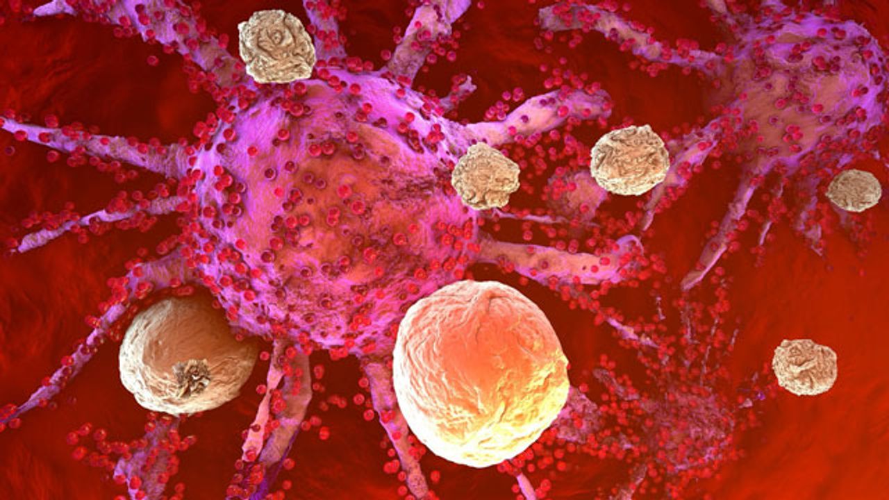 Rewiring T Cells To Enhance Immunotherapy Efficacy