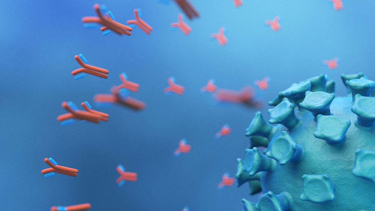The Benefits of Automation for Antibody Discovery Workflows