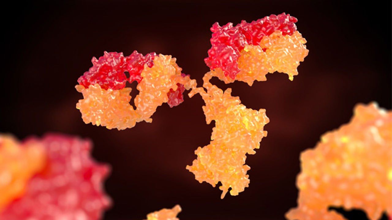 Emerging Technological Landscapes in Biomanufacturing and Monoclonal Antibody Screening