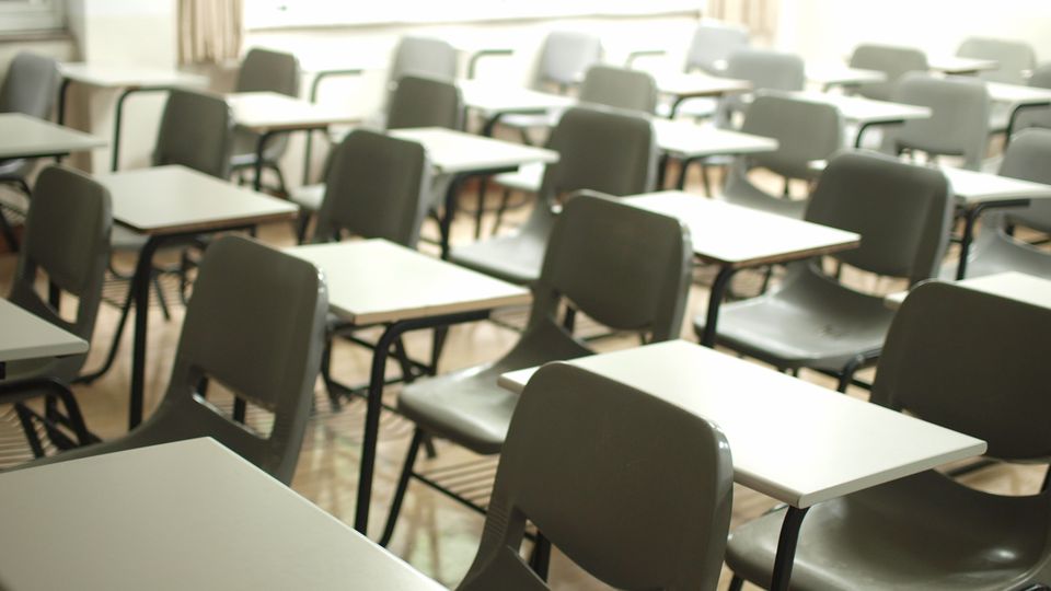 School Study Fails To Find a "G-Factor" for Gender content piece image