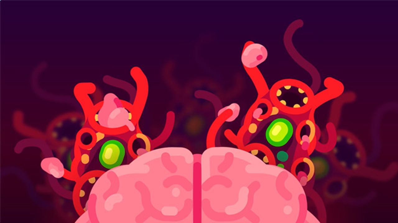 The Most Horrible Parasite: Brain Eating Amoeba