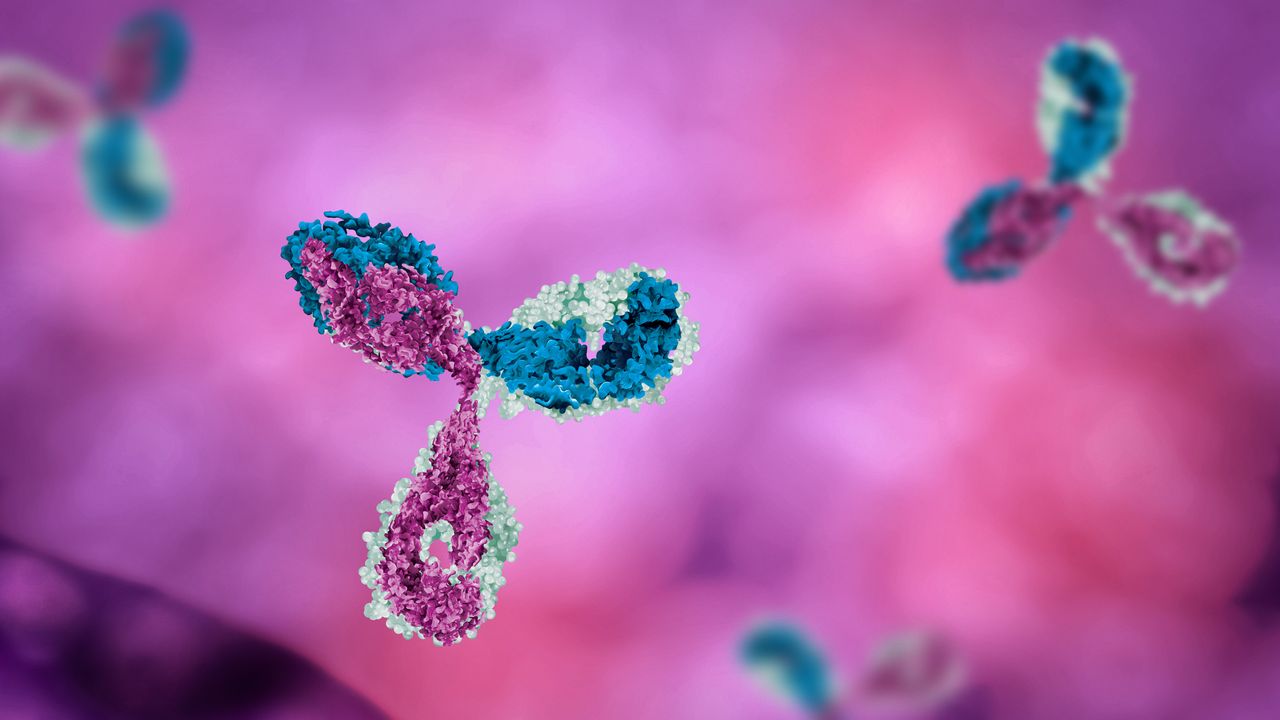 Unlocking the Functional Antibody Repertoire