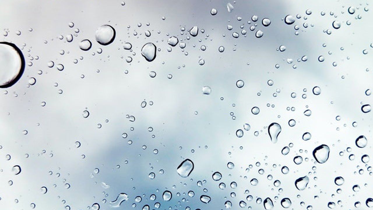 How Can Wastewater Testing Predict COVID-19 Outbreaks?