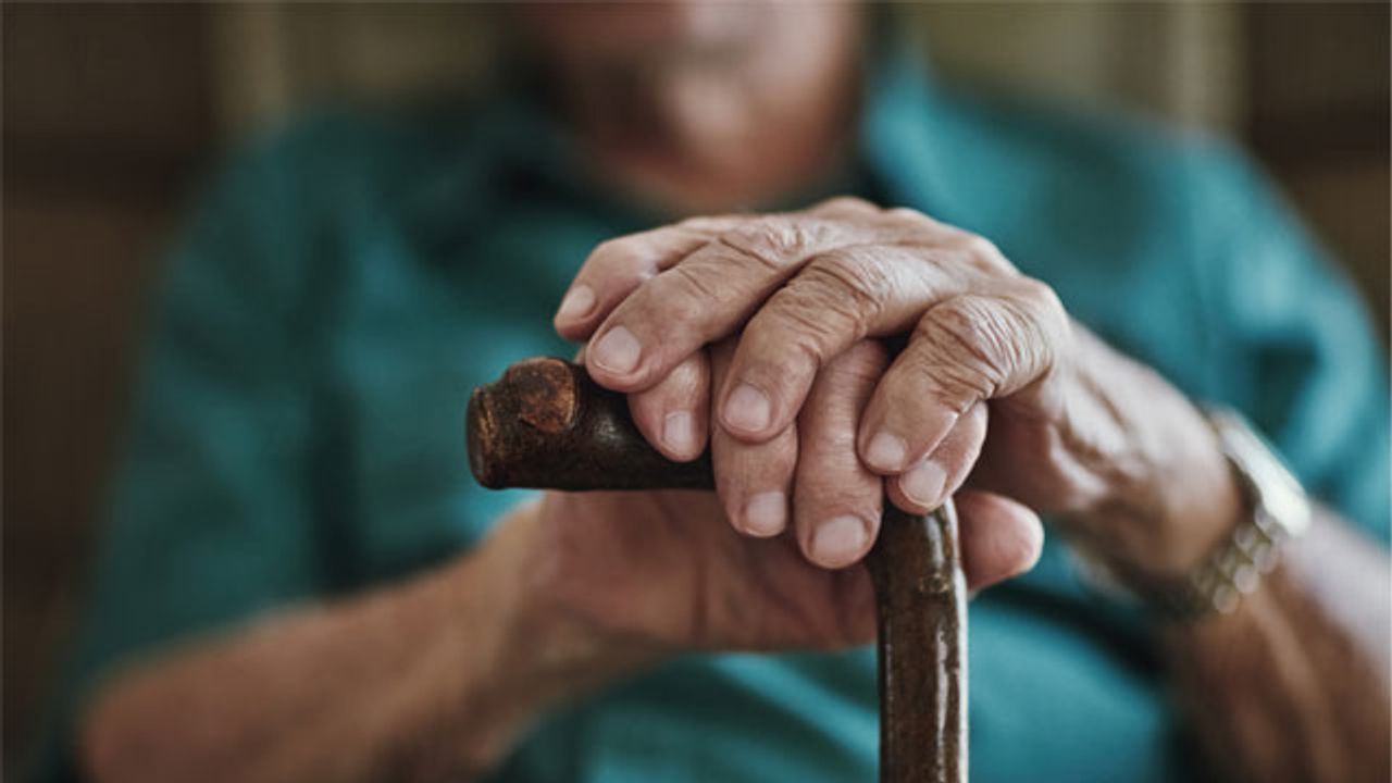 The Impact of Funding on Longevity Research