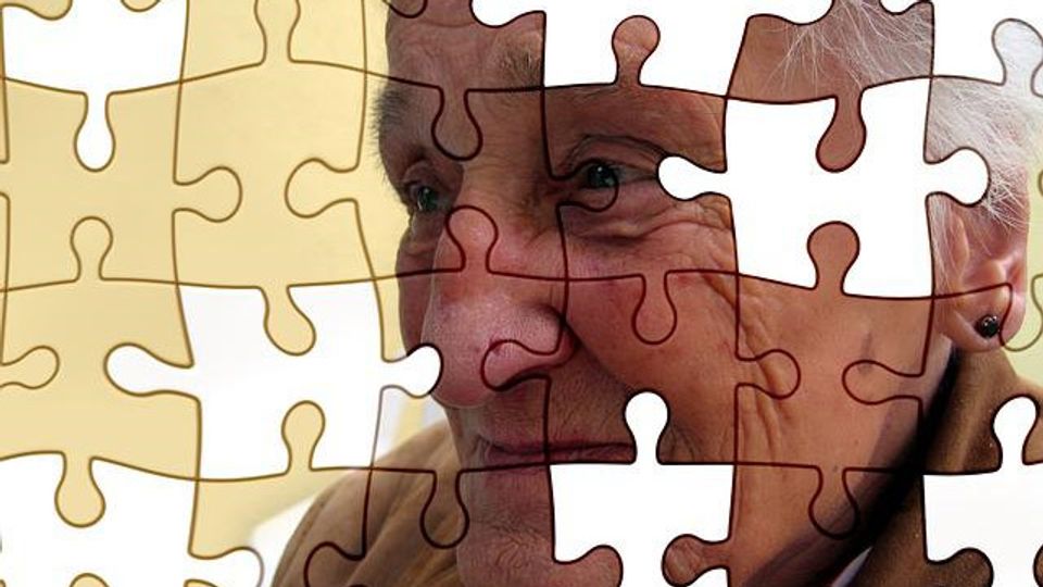 Gene Finding Links Vascular Disease to Alzheimer's content piece image