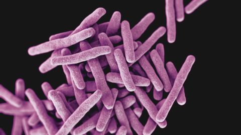 Hundreds of Potential New Drug Targets Discovered for Tuberculosis