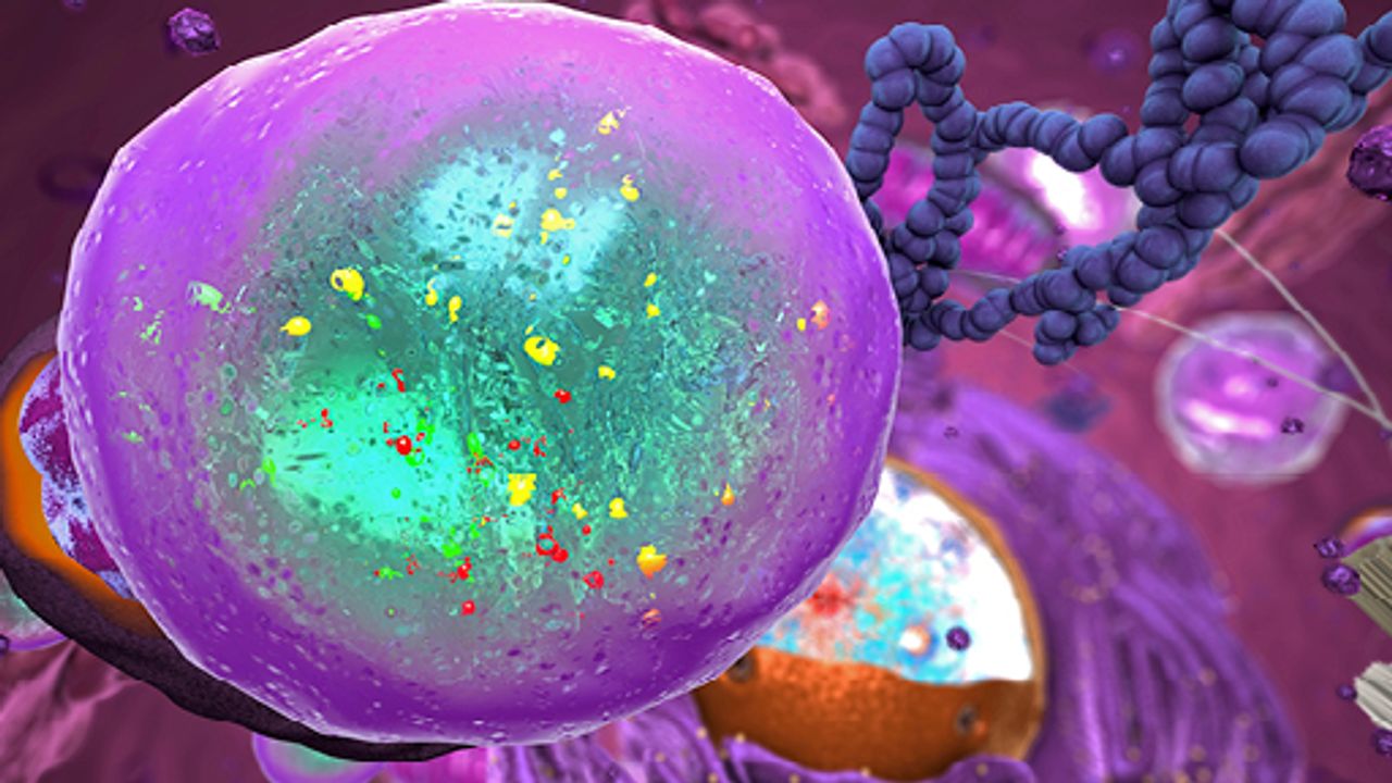 Autophagy Regulation